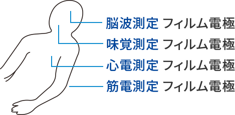 生体信号測定